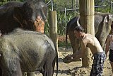 Mud Spa Program