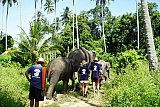 Mud Spa Program