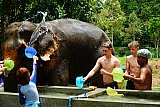 Feed and shower