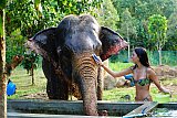 Feed and shower