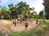 Mud Spa