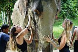 Mud Spa