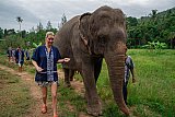 Walking through the jungle with elephants