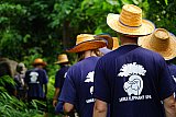 Walking through the jungle with elephants