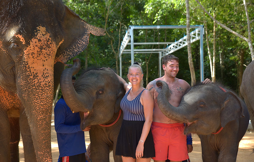 Samui Elephant Sanctuary - What Is an Elephant's Trunk? The elephant's trunk  is an extended nose that is fused with their top lip. They have opposable  fingers at the end for grasping